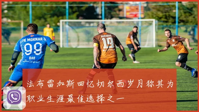 法布雷加斯回忆切尔西岁月称其为职业生涯最佳选择之一