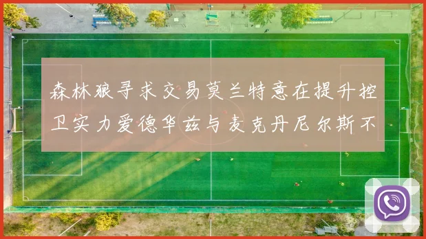 森林狼寻求交易莫兰特意在提升控卫实力爱德华兹与麦克丹尼尔斯不在交易名单内